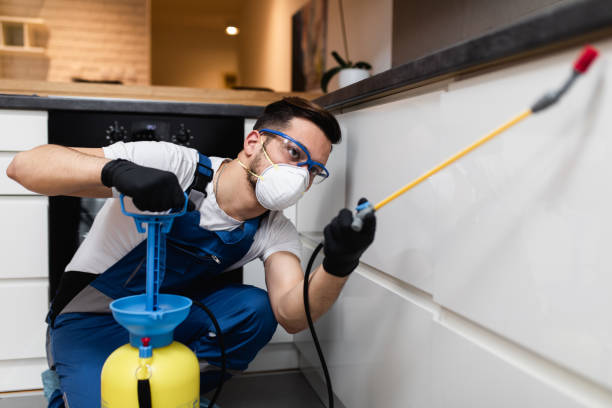 Wasp Removal Services in Bishop, TX