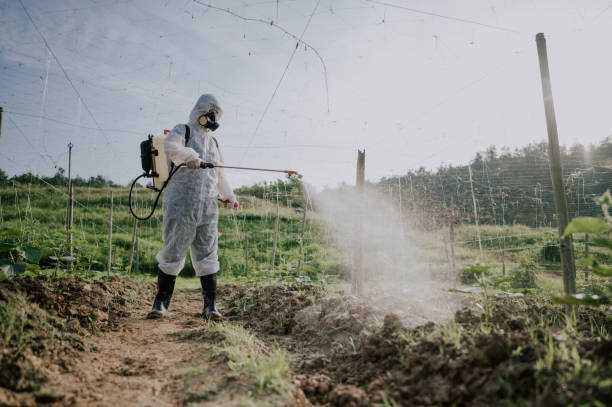 Best Commercial Pest Control Services  in Bishop, TX