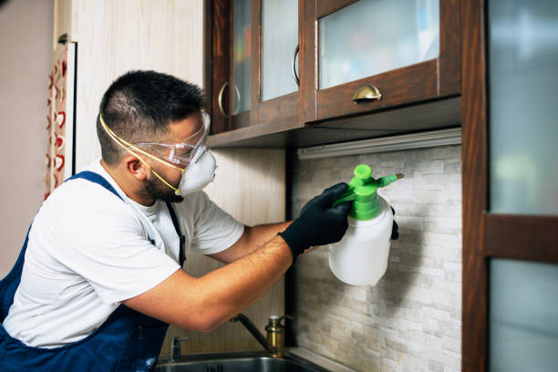 Best Pest Removal Services  in Bishop, TX