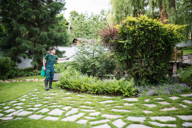 Best Pest Prevention Services  in Bishop, TX