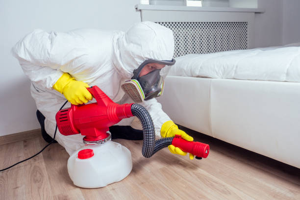 Best Bed Bug Extermination  in Bishop, TX