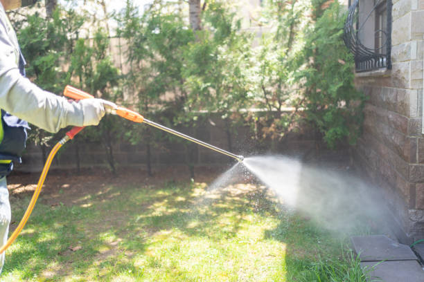 Best Emergency Pest Control  in Bishop, TX