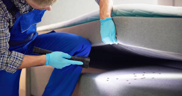 Pest Prevention Services in Bishop, TX