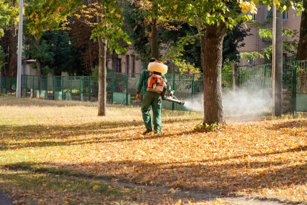 Best Mosquito Control Services  in Bishop, TX