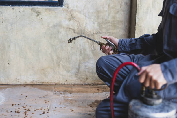 Trusted Bishop, TX Pest Control Experts